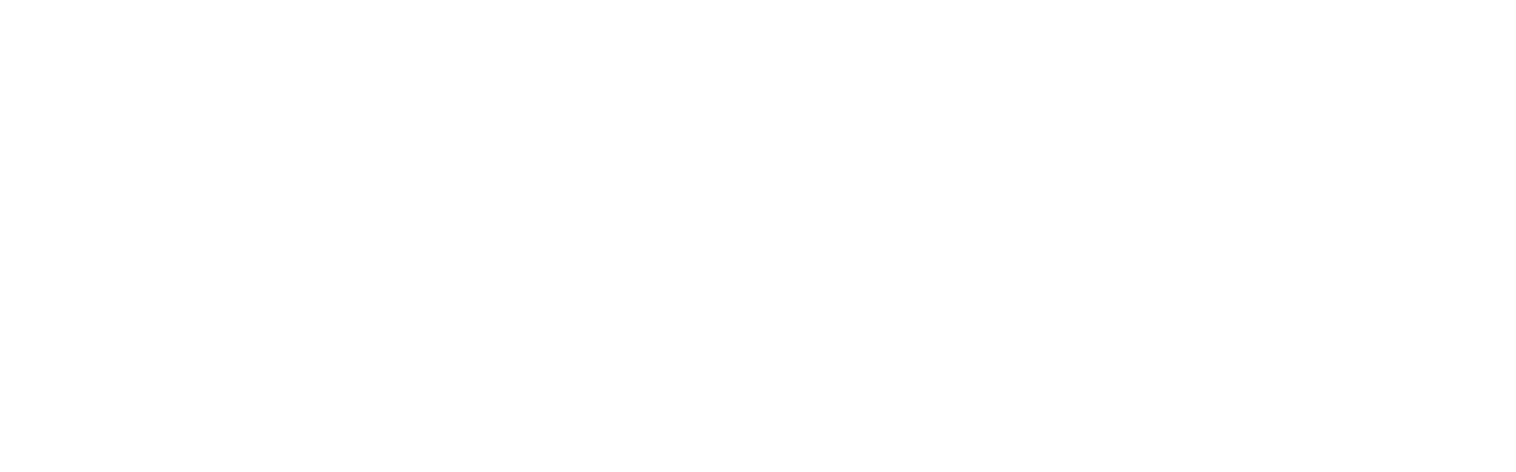 logo htxBinhdinh-02